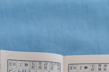 上海劳动手册查询