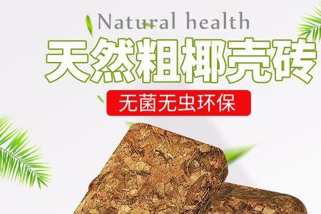 椰砖与椰壳砖哪个好