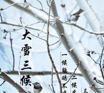 阜丘有鸟三年不鸣