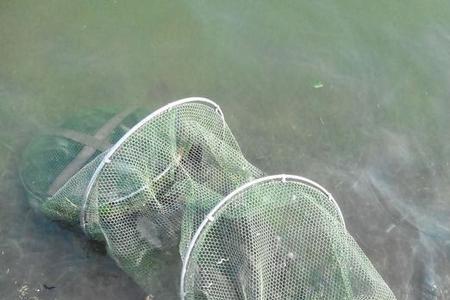 开封西郊野钓地点