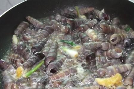 钉螺怎么吃出肉