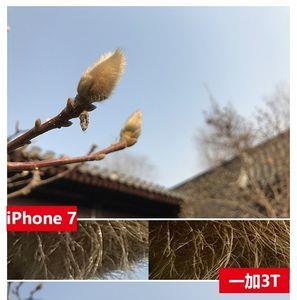 苹果11怎样背景虚化
