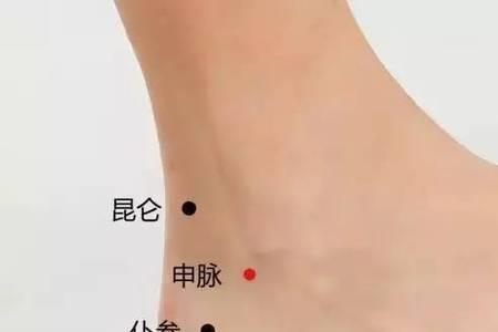 人手各个部位名称