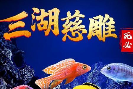 游的快的淡水观赏鱼有哪些