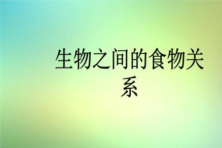 不用吃东西的生物