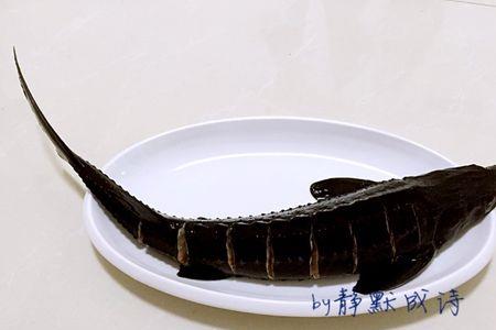家养鲟鱼好吗