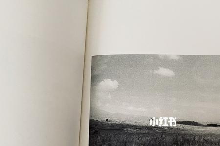 望道而未之见什么意思