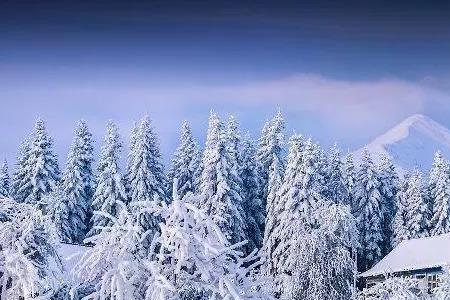 2022年八月份什么地方要下雪