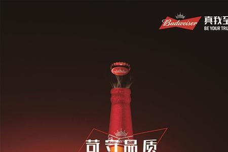 露娜啤酒咋样