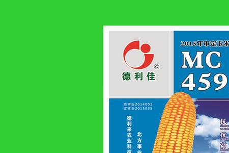 东单mc4592玉米种