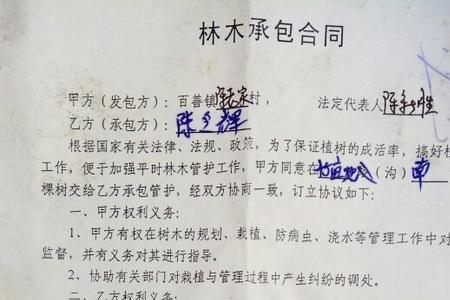 个人承包不签合同犯法吗