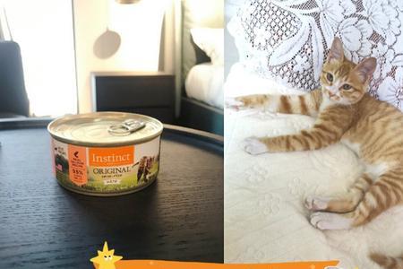 百利生鲜猫每顿吃多少
