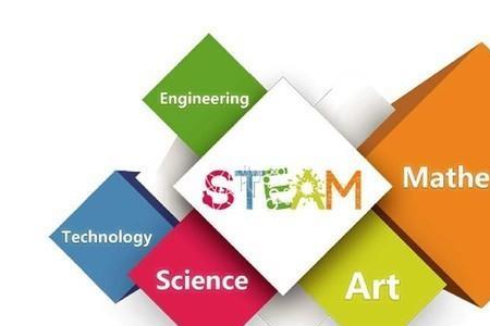 stem学历