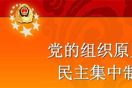 党是什么样的组织