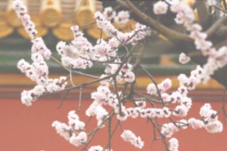一去经年什么意思
