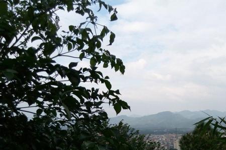 湖州塔山森林公园门票