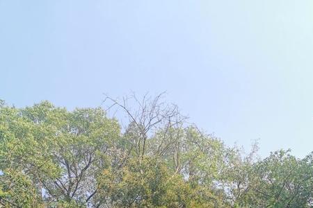 武汉龟山公园哪个门进比较方便