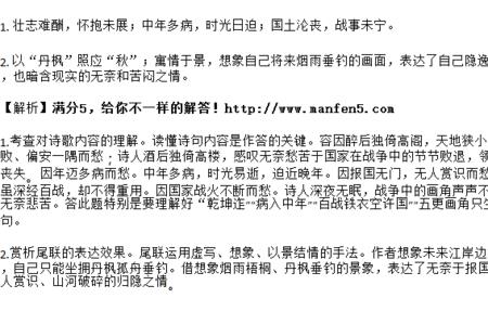 百战铁衣空许国的意思