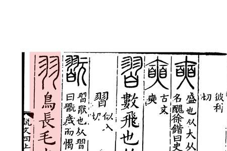 姓羽的一般是哪里人