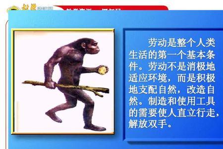 劳动分类的概念