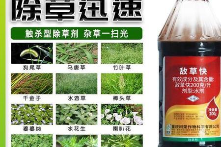 大葱地水花生用什么除草剂