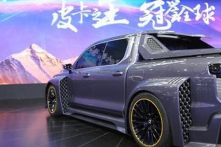 2022年皮卡解禁的标准