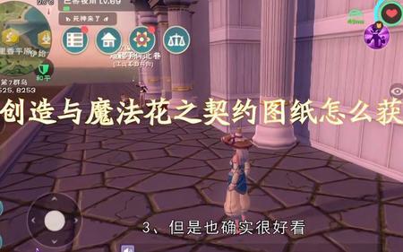 创魔契约口袋能升到几级