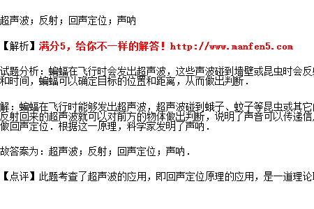 蝙蝠超声波还是次声波