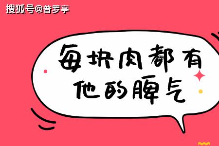为什么胖子更抗打
