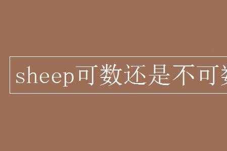 不计可数读音