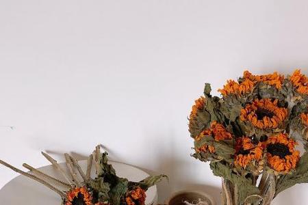 干花晚上可以放在外面吗
