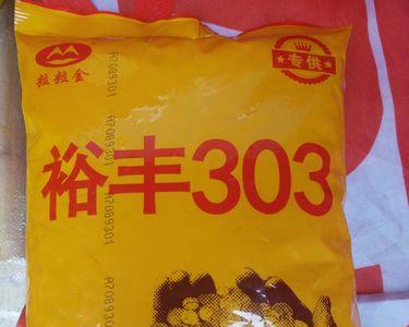 裕丰303和国禾303哪个好