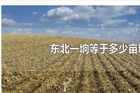 1华亩等于多少亩