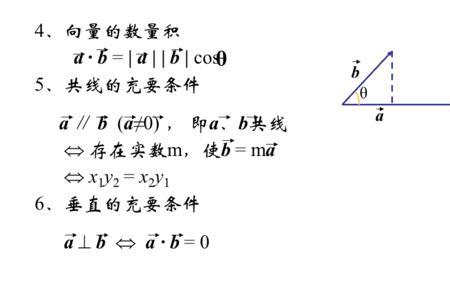 单位向量的长度一定是1吗