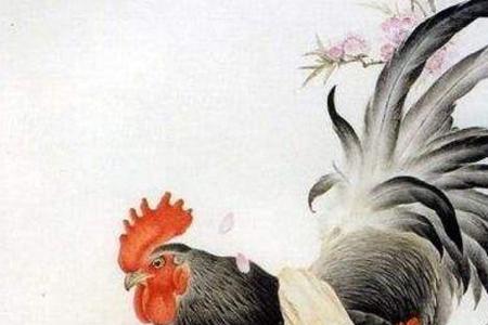 人生可贵是什么生肖