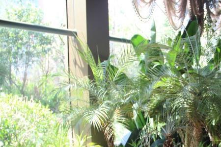 休闲花园植物怎么获得