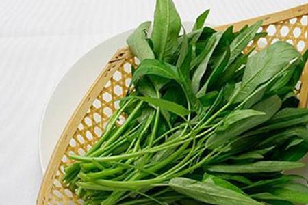类似空心菜但不是空心菜的菜