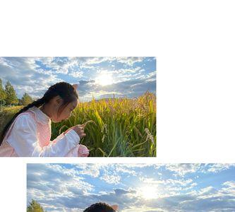 形容小孩秋收诗句