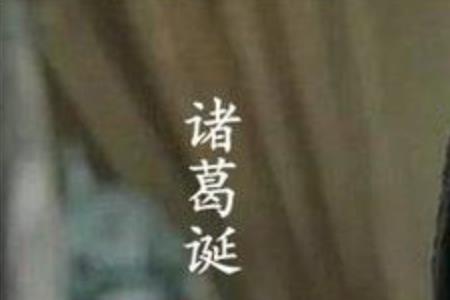 诸葛瑾为什么不跟诸葛亮一起