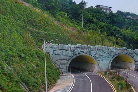 重庆天池隧道通车时间