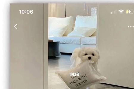 前任频繁换朋友圈背景图咋回事