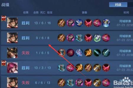 王者战绩可查什么意思