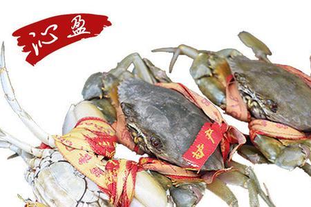 三门青蟹和野生青蟹哪种好