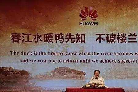 荣耀研发人员辛苦吗