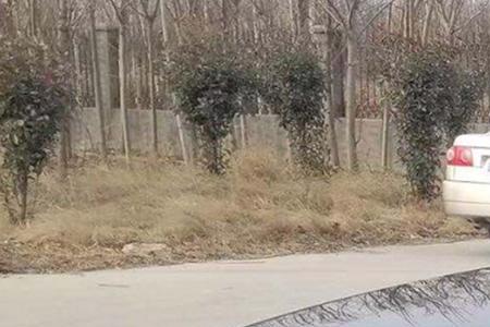 为什么河北的桑塔纳卖得很便宜