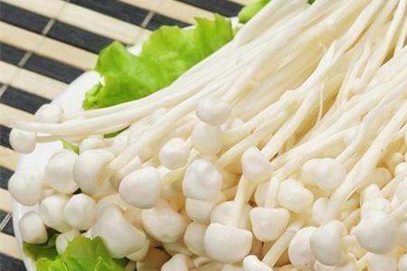 金针菇旺季是什么时候