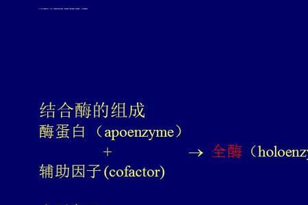 限速酶与关键酶的异同