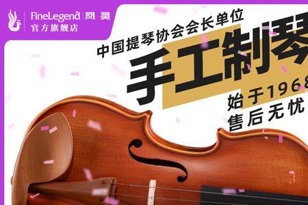 小提琴用什么木材最好