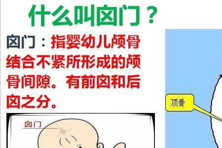 七个半月宝宝囟门发育标准