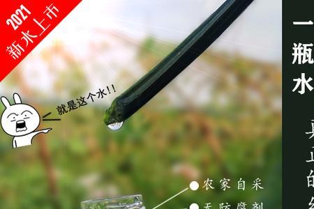 丝瓜藤水保鲜还是结冻